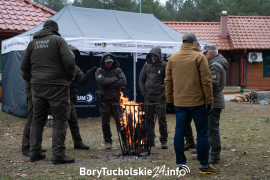 Zdjęcie 83