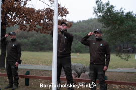 Zdjęcie 181