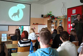 Zdjęcie 4
