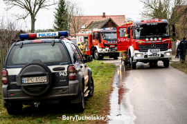 Zdjęcie 15