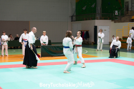 Zdjęcie 105