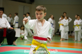 Zdjęcie 152