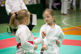 Zdjęcie 164