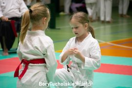 Zdjęcie 168
