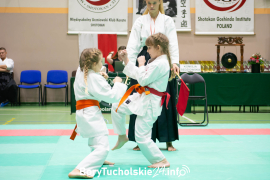 Zdjęcie 176