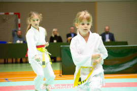 Zdjęcie 195
