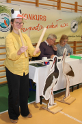 Zdjęcie 13