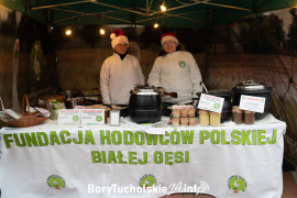 Zdjęcie 34