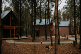 Zdjęcie 18