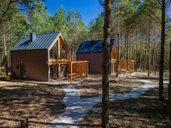 Zdjęcie 20