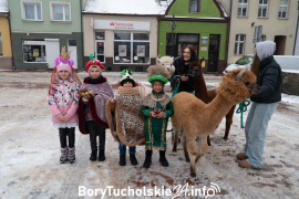 Zdjęcie 3