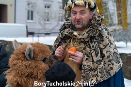 Zdjęcie 9