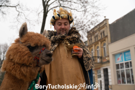 Zdjęcie 29