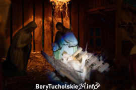 Zdjęcie 87