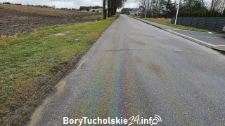Zdjęcie 11