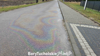 Zdjęcie 12