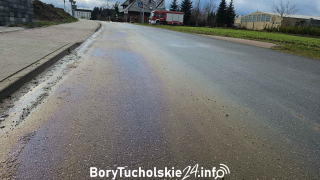 Zdjęcie 13