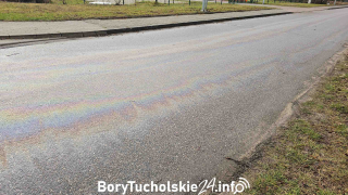 Zdjęcie 15