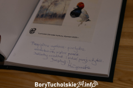 Zdjęcie 61