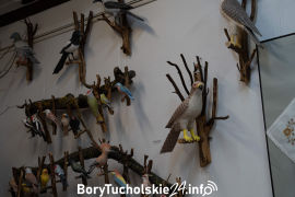 Zdjęcie 37