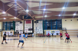 Zdjęcie 11
