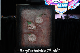 Zdjęcie 11