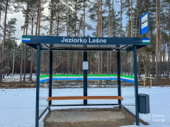 Zdjęcie 6