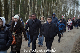 Zdjęcie 84