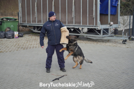 Zdjęcie 132
