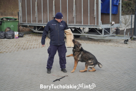 Zdjęcie 133
