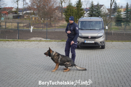 Zdjęcie 134