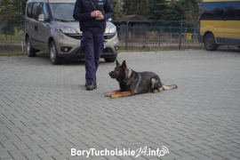Zdjęcie 136