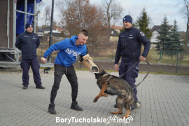 Zdjęcie 143