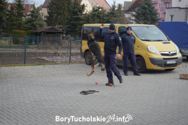 Zdjęcie 146