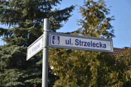 Zdjęcie 5