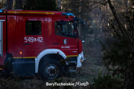 Zdjęcie 15