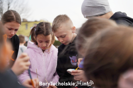 Zdjęcie 82