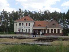 Zdjęcie 43