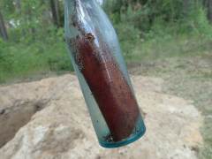 Zdjęcie 47