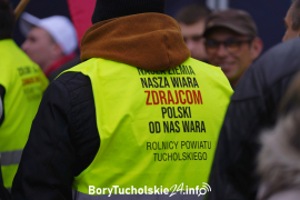 Zdjęcie 12