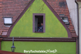 Zdjęcie 95