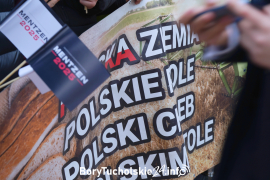 Zdjęcie 101