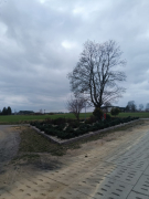 Zdjęcie 6