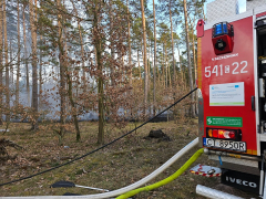 Zdjęcie 15