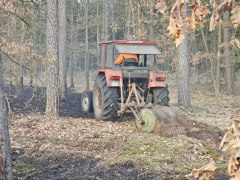 Zdjęcie 5