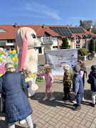 Zdjęcie 18