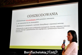 Zdjęcie 22