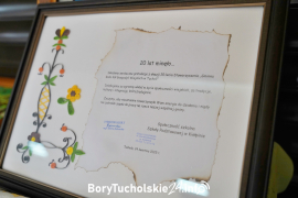 Zdjęcie 150