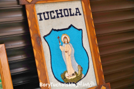Zdjęcie 82