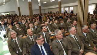 Zdjęcie 504